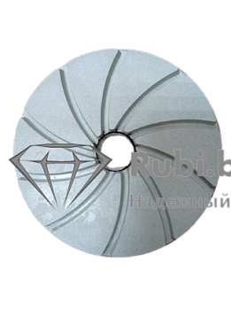 Диск шлифовальный Snail d125 #100  D 